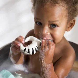 Gryzak zebra Oli&Carol